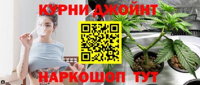 трава Кандалакша