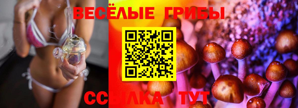 Галлюциногенные грибы ЛСД Куйбышев